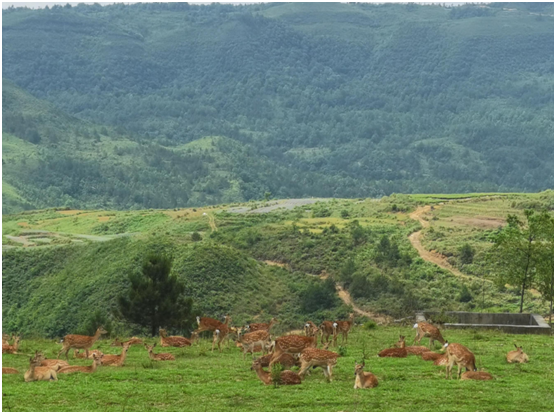 1655713331940594.png a002_02.png